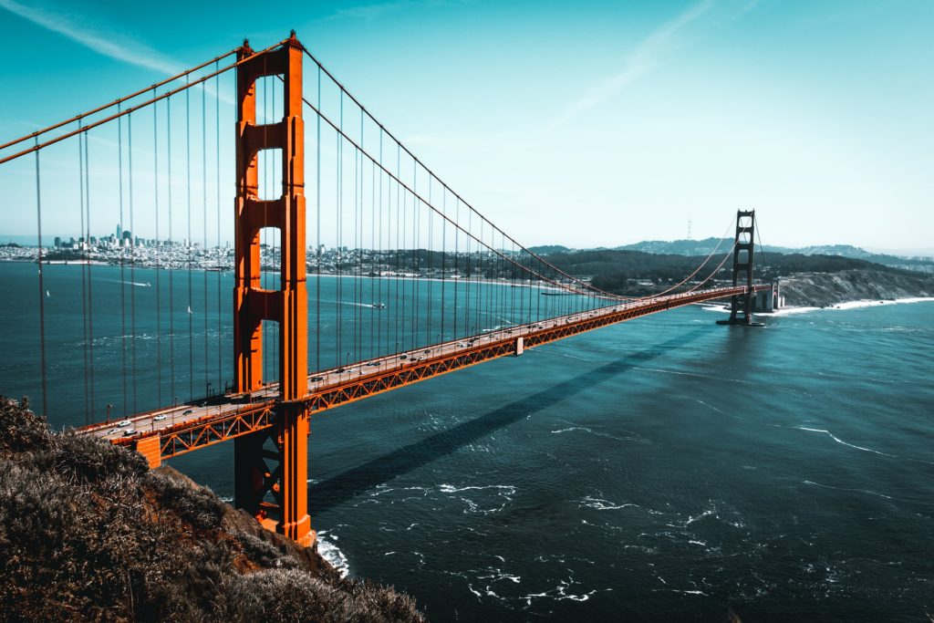 what-do-vcs-look-for-in-a-startup